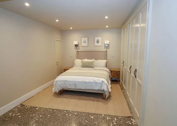 Ned's 韦斯特波特